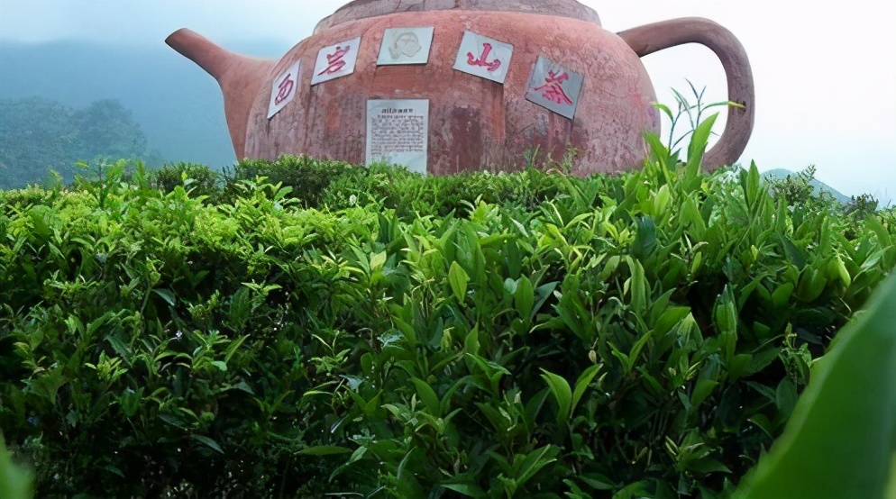 广西十大特产农产品是什么,广西特色品牌大全