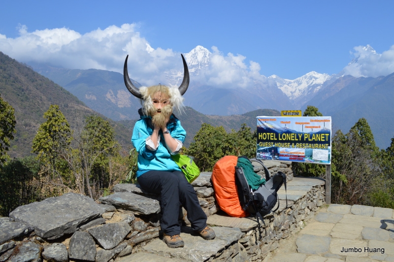 第1844回:皆伐破坏栖息生态,间伐劳工大象伐木