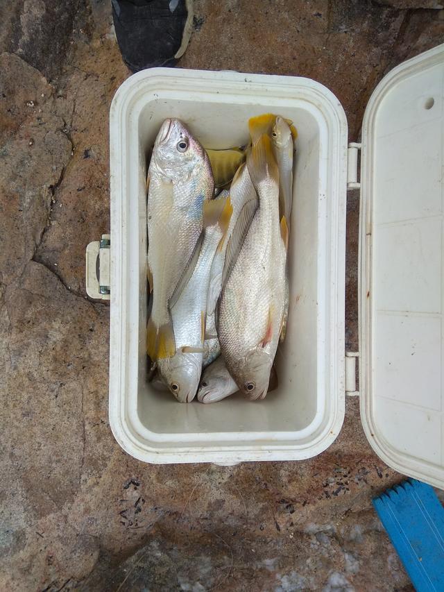 沙滩钓沙尖线组怎么绑,沙滩远投主线和钓组怎么连接