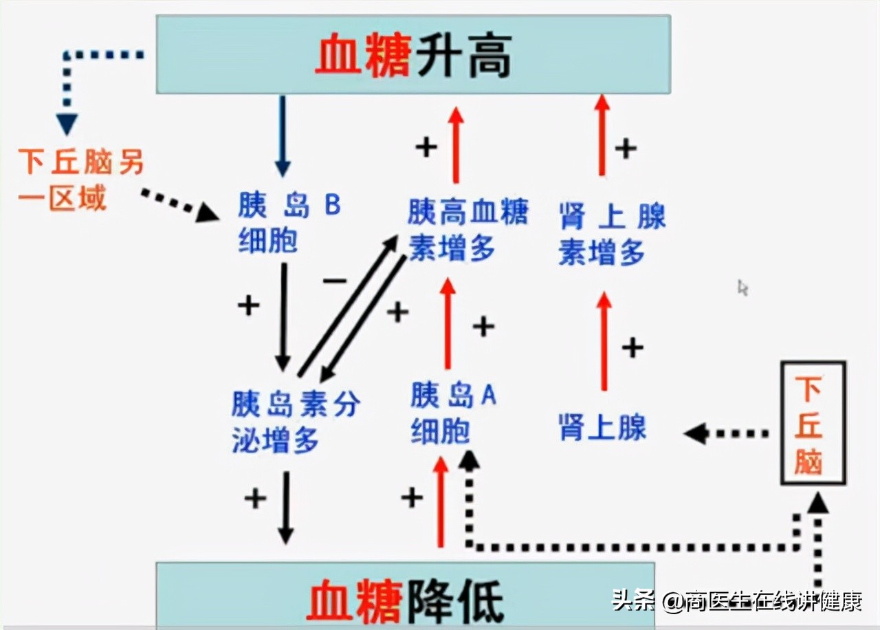 血糖高就一定是糖尿病,血糖高一定是糖尿病吗别误解了
