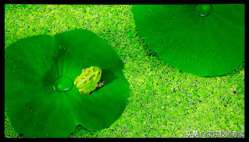 「评测」15万元4K家用激光投影机怎样?看索尼VPL-VW798