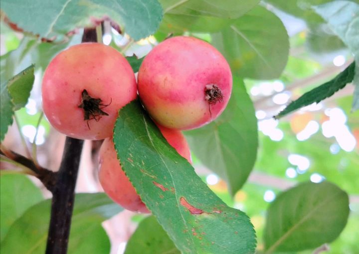 众创网校简介,众创网校官网