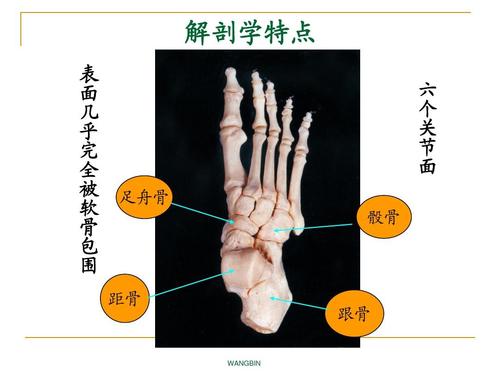 踝关节扭伤两个多月走路还跛脚,踝关节扭伤五个月了走路很痛还肿