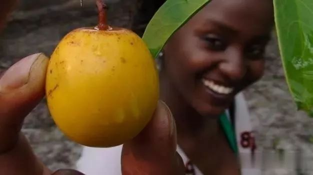 从金融白领到护肤匠人，我花7年时间研发出真正的纯植物口红