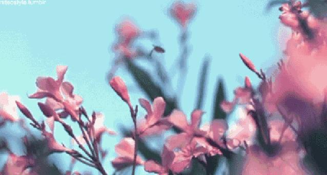 春季皮肤过敏有什么药可以治疗的,春季脸上皮肤过敏泛红发痒小妙招