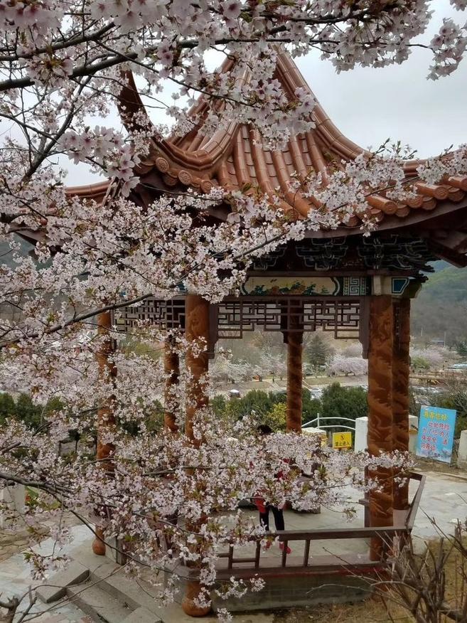 大连普兰店小众景点,大连免费的景点推荐