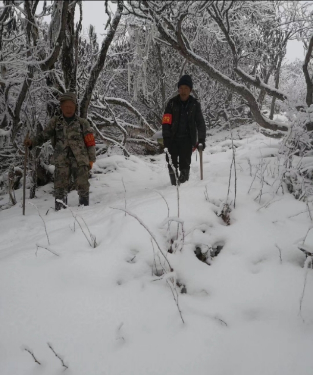 支持禁燃烟花爆竹吗,全面禁止野味
