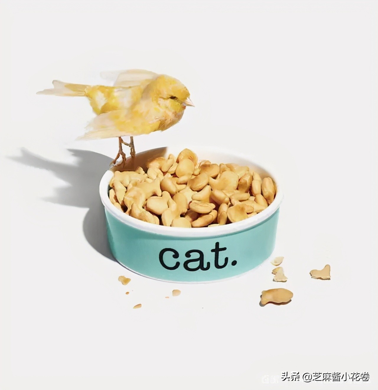 凡尔赛文学其实无处不在,凡尔赛文化盛行