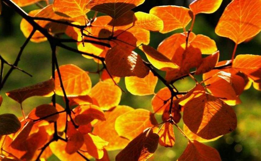 人生真正的迷茫从四十岁开始,人到中年开始思考人生的苦涩了吗