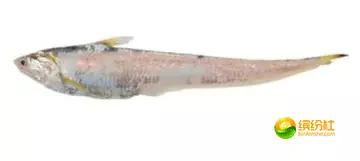 舟山海鲜代加工攻略,最全舟山海鲜攻略