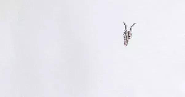 绉嬪啲瀛ｇ毊澶瑰厠鎬庝箞鎼厤,绉嬪啲瀛ｇ毊澶瑰厠鎬庢牱鎼厤