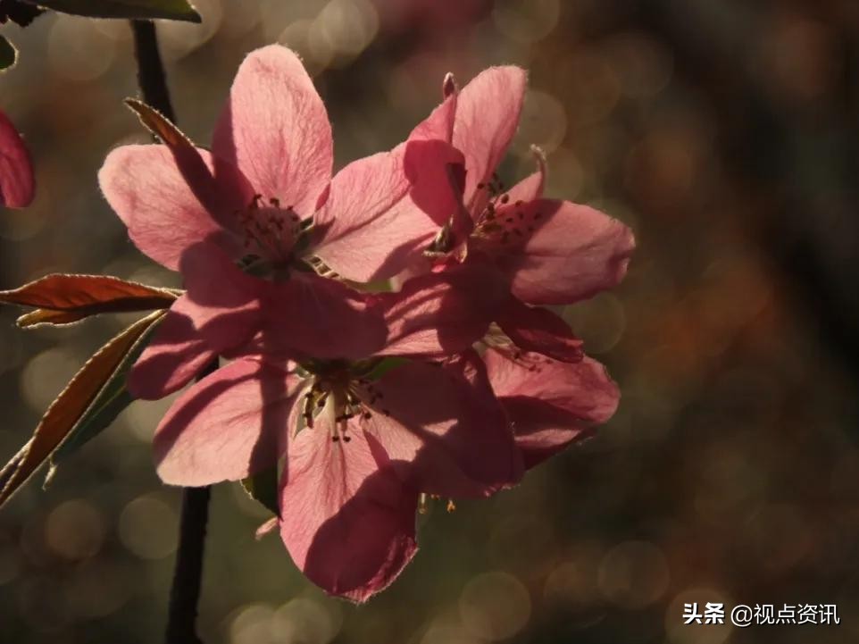 彩色的梦粉笔艺术字,彩色的梦语文课