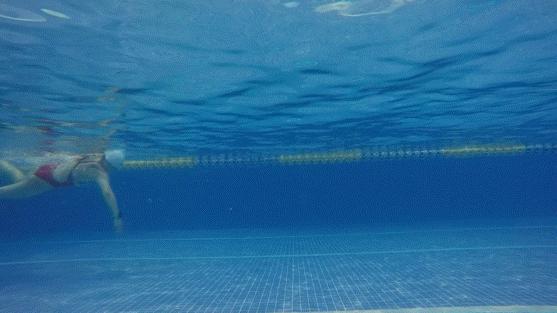 自由泳两次腿是交叉打腿吗,自由泳对角线二次打腿练习