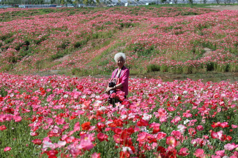 我的婆婆妈妈李小曼,我的婆婆妈呀