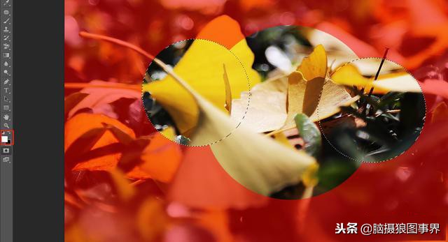 ps中的四类蒙版怎样应用,photoshop中如何添加蒙版