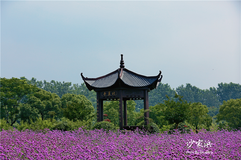 苏州红色革命旅游景点图片,苏州红色革命景点介绍视频
