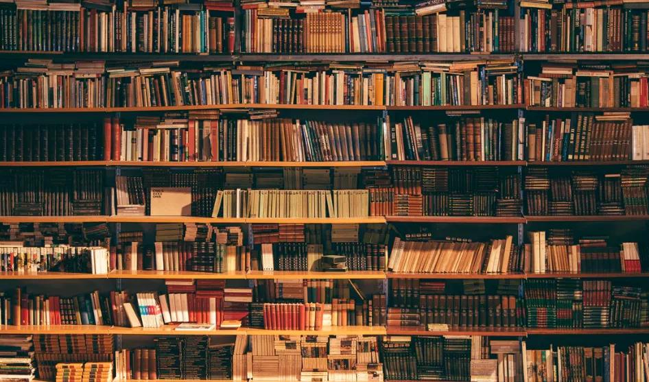 语文课本知识出错,语文教材到底发生了什么变化