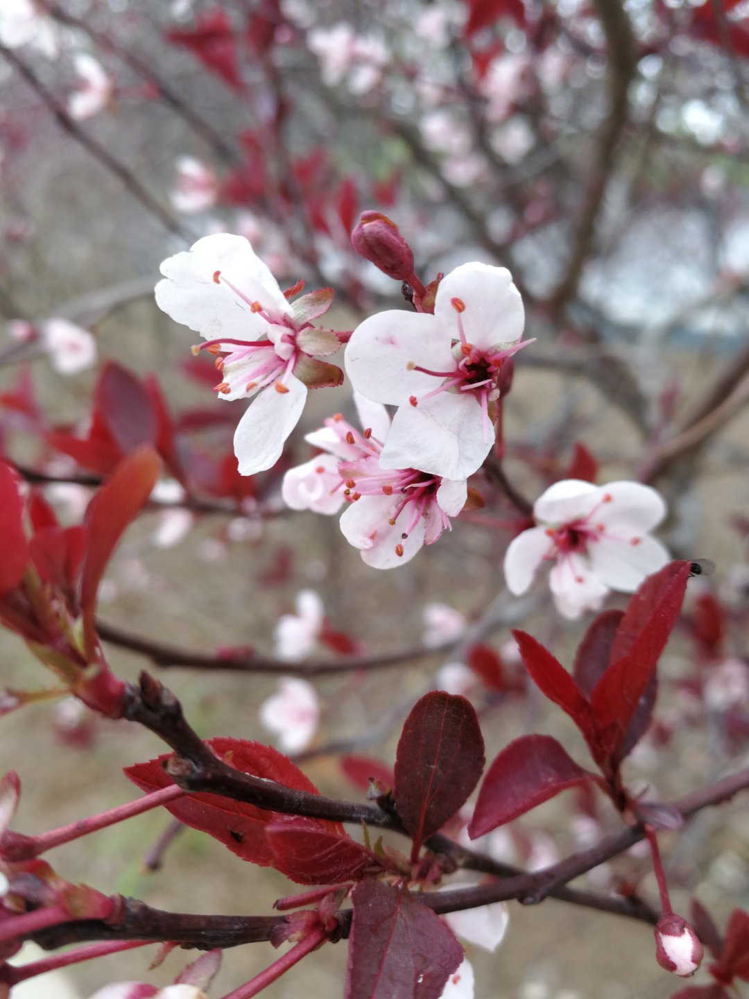 农村老物件7080的乡村记忆,乡村记忆老物件图片