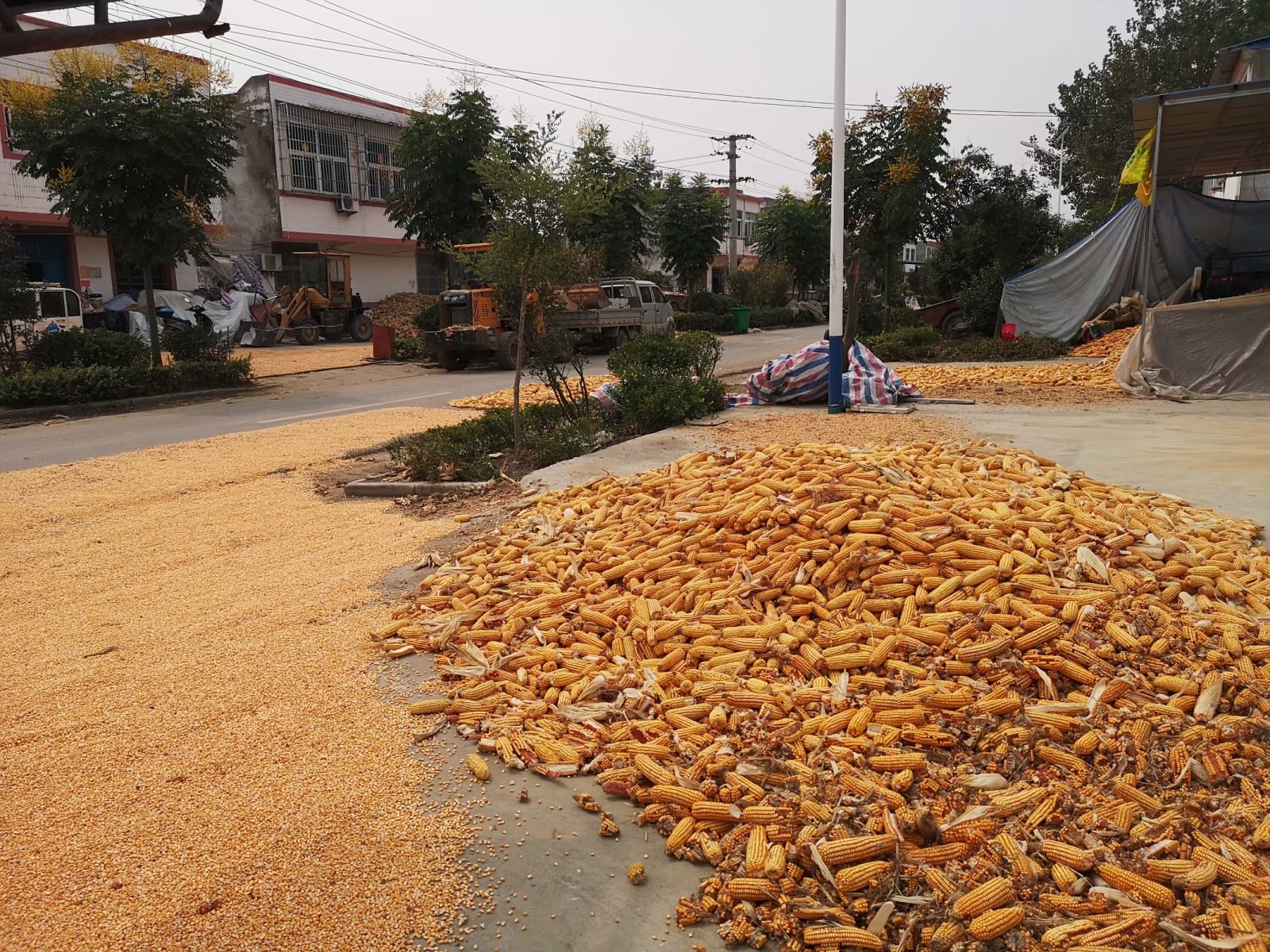 俞伯牙墓为什么在固镇,俞伯牙墓出土