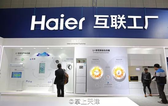 低调的王者完整版,低调的王者奥迪