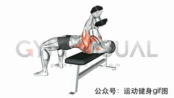 100张肌肉分解图,手臂肌肉的爆发力怎么练