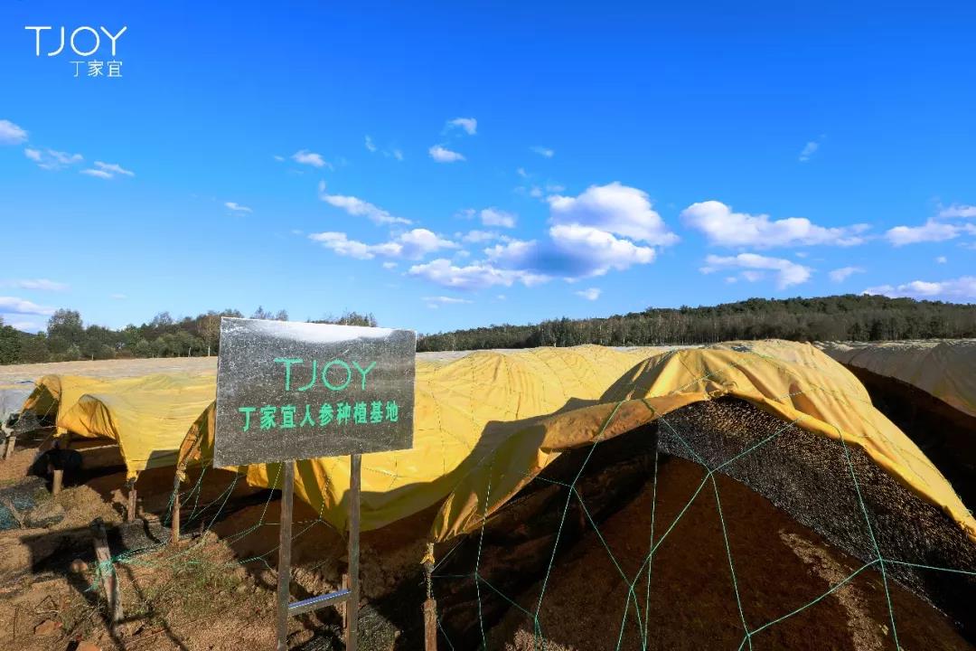 雪花秀人参水乳韩国本土,雪花秀有人参的护肤品好用吗