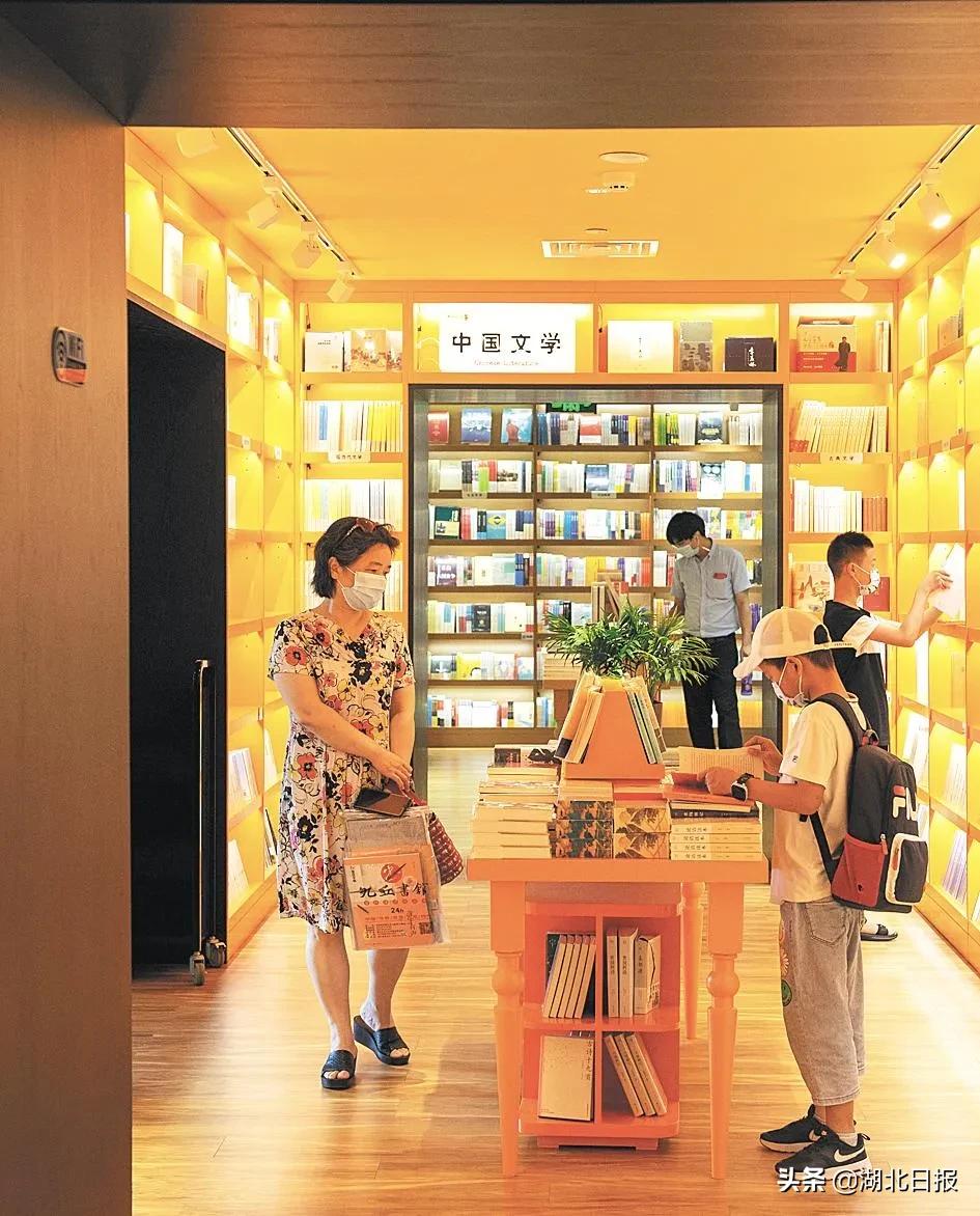 长文最新更新视频,重磅文章最新