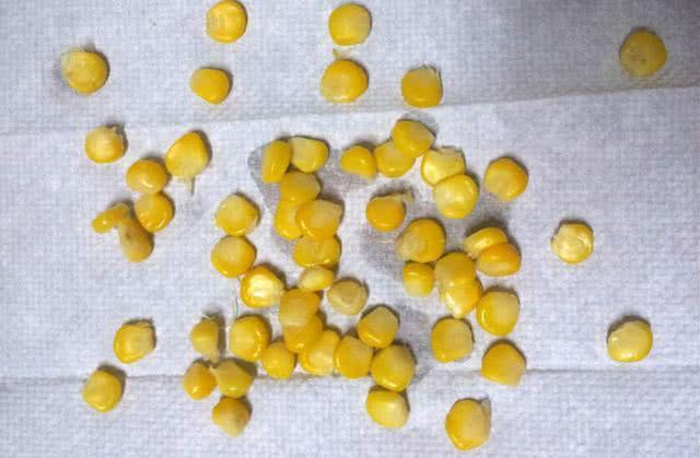 小杂鱼闹窝怎么搞,小杂鱼闹窝的最快解决方法