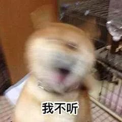 男士短袖t恤淘宝推荐平价 (国潮品牌推荐50元平价店铺t恤)