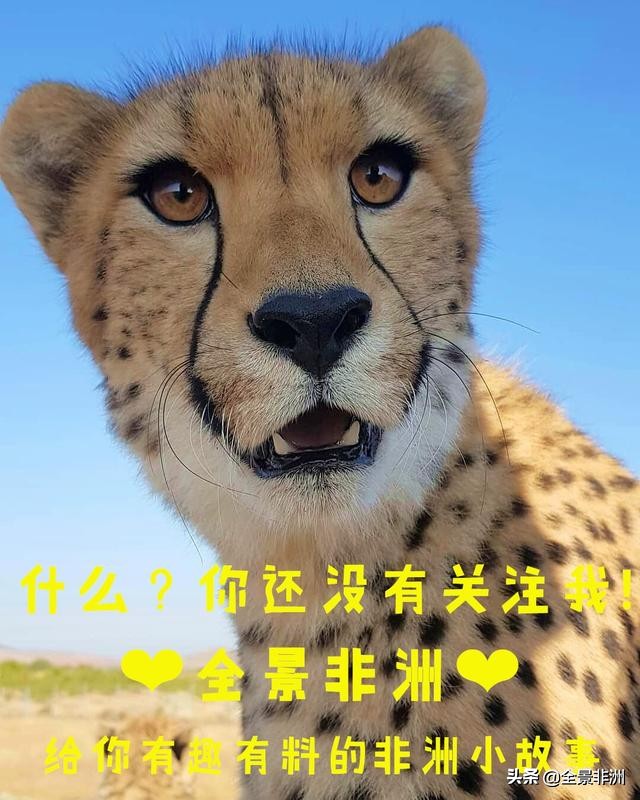 非洲科普｜从地理的角度看，非洲为什么不发达？