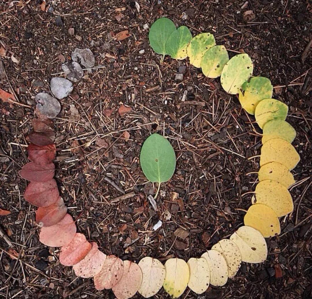 不要拿自己的生命去恋爱,不要拿自己生命去挽回一段婚姻