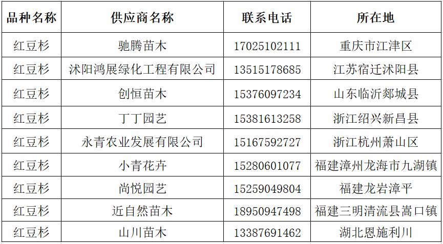 红豆杉树苗推荐,现在红豆杉行情