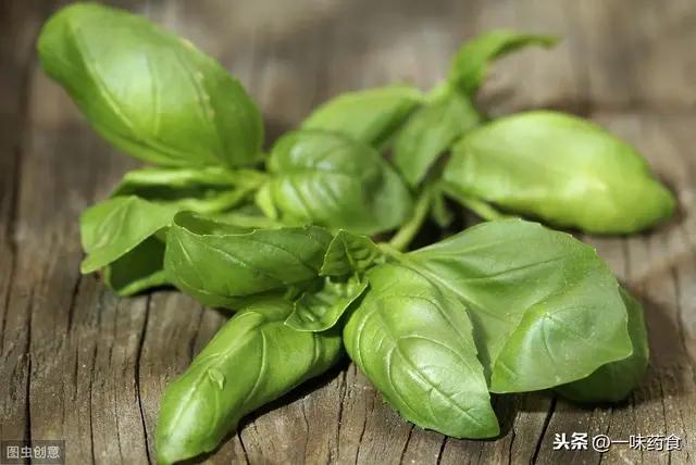 九层塔金不换是什么菜,九层塔是不是又叫金不换