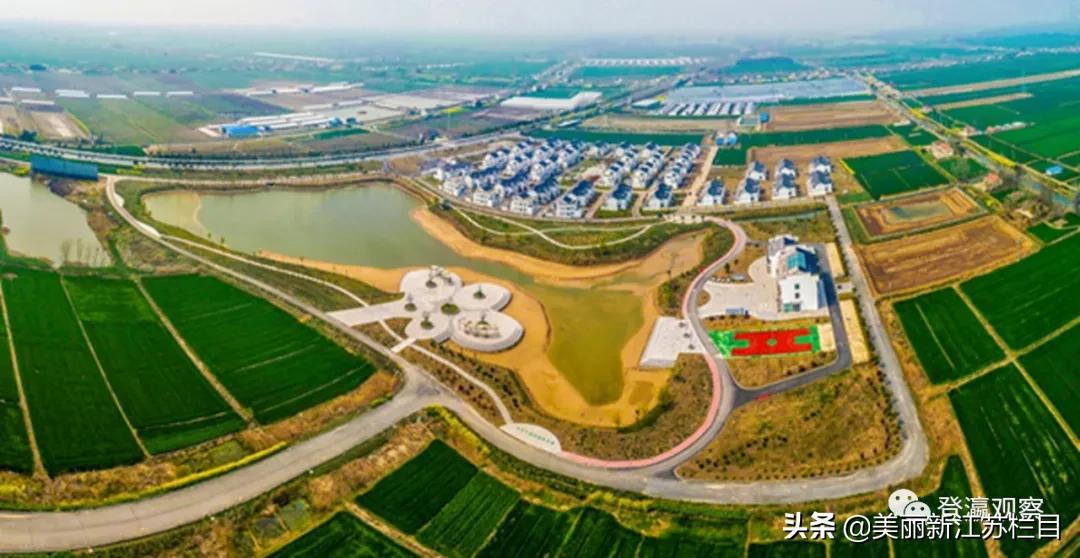 “有爱小城”的小康答卷——访射阳县委书记唐敬