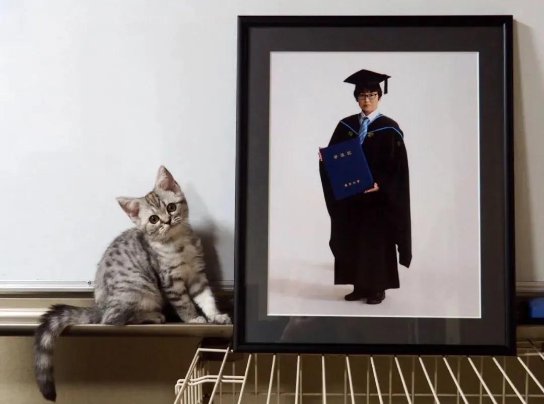 复读了但是通知书来了怎么办,复读终于圆梦