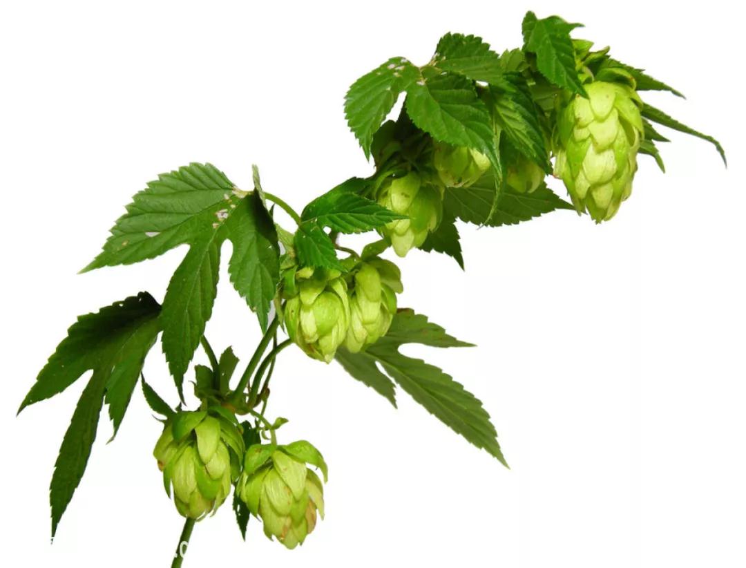 过敏原检测帮你找出过敏真凶,过敏原检测能查出29种过敏源