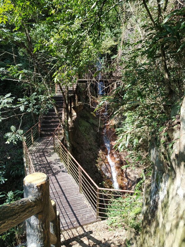 杭州周边徒步最美线路 (杭州最野的徒步路线)