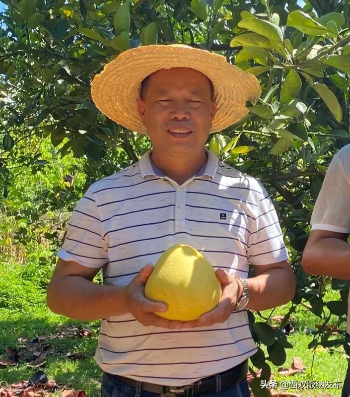 璇辨儜闅炬尅,鍕愪粦鏌氬瓙鍙堝ぇ鍙堢敎