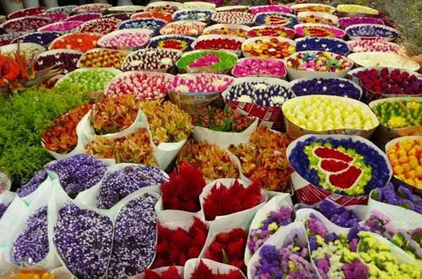 昆明旅游购物攻略大全最新,昆明旅游吃喝指南推荐地方在哪里