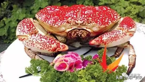各国海鲜大盘点,今年过年最值得入手的海鲜