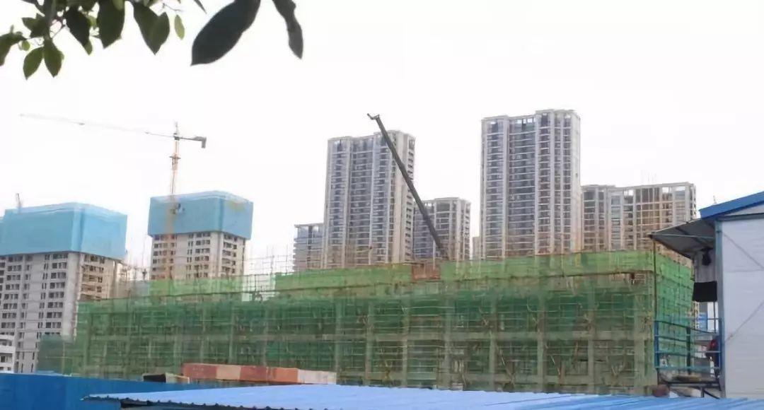 你守护世界我守护你少年的你,你守护世界我守护你