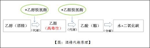 十种解酒方法视频,值得相信的解酒小妙招