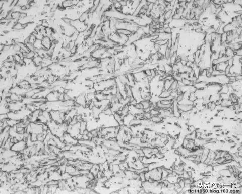 马氏体、奥氏体、珠光体，20种材料彩色金相，带你轻松识别