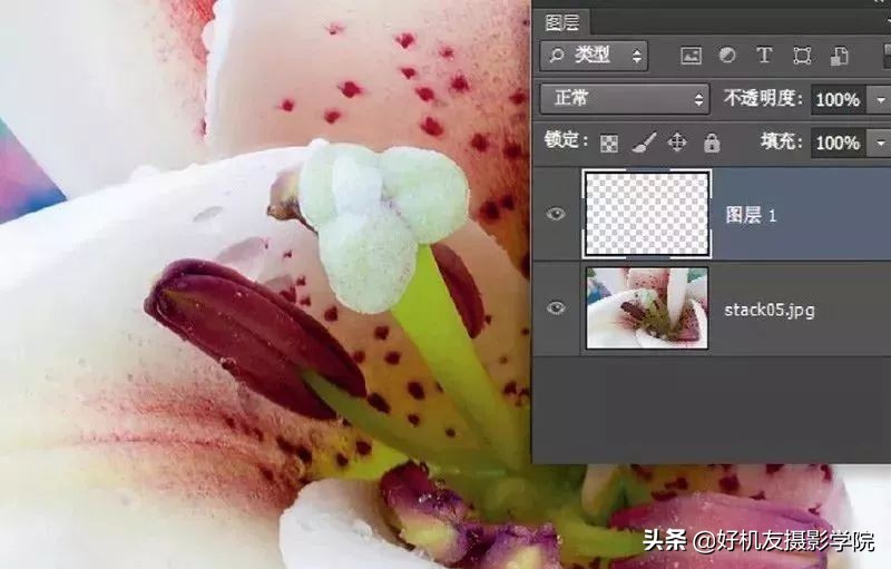 景深后期怎么合成照片,如何拍出前虚后实的景深照片