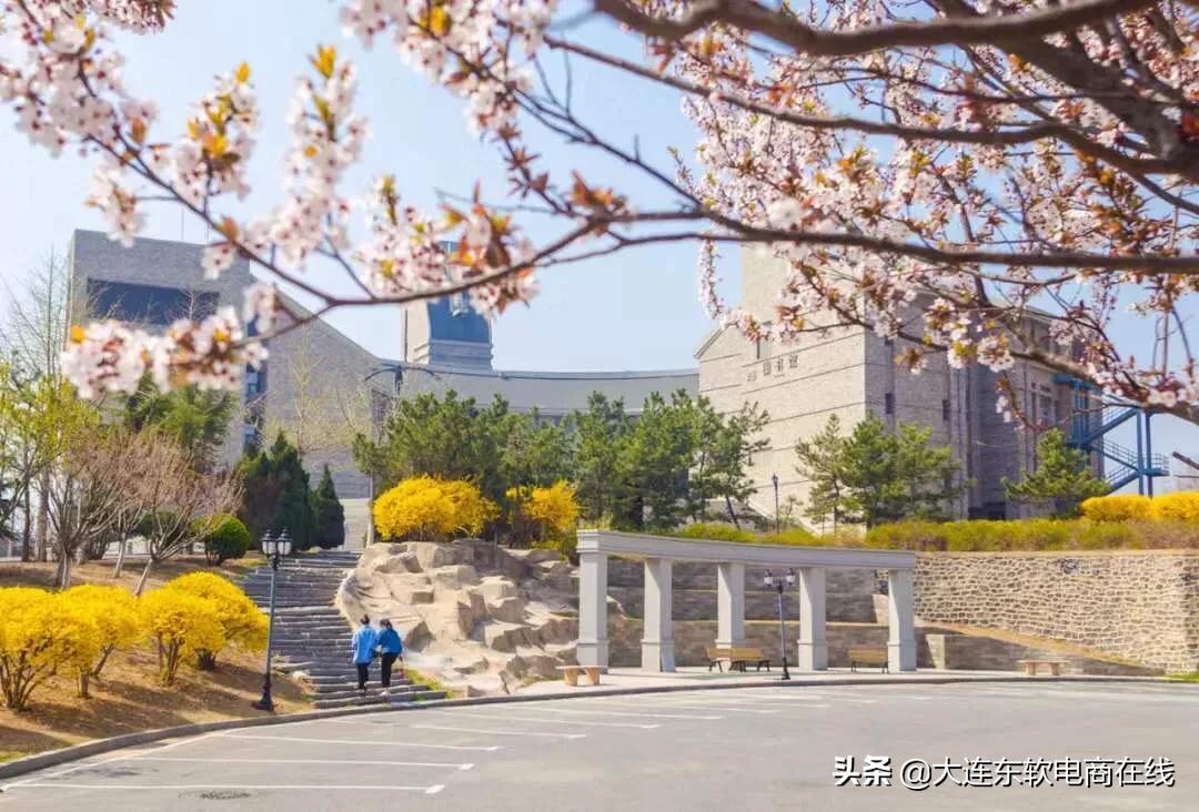 大连一共有多少所大学,全国前五大连