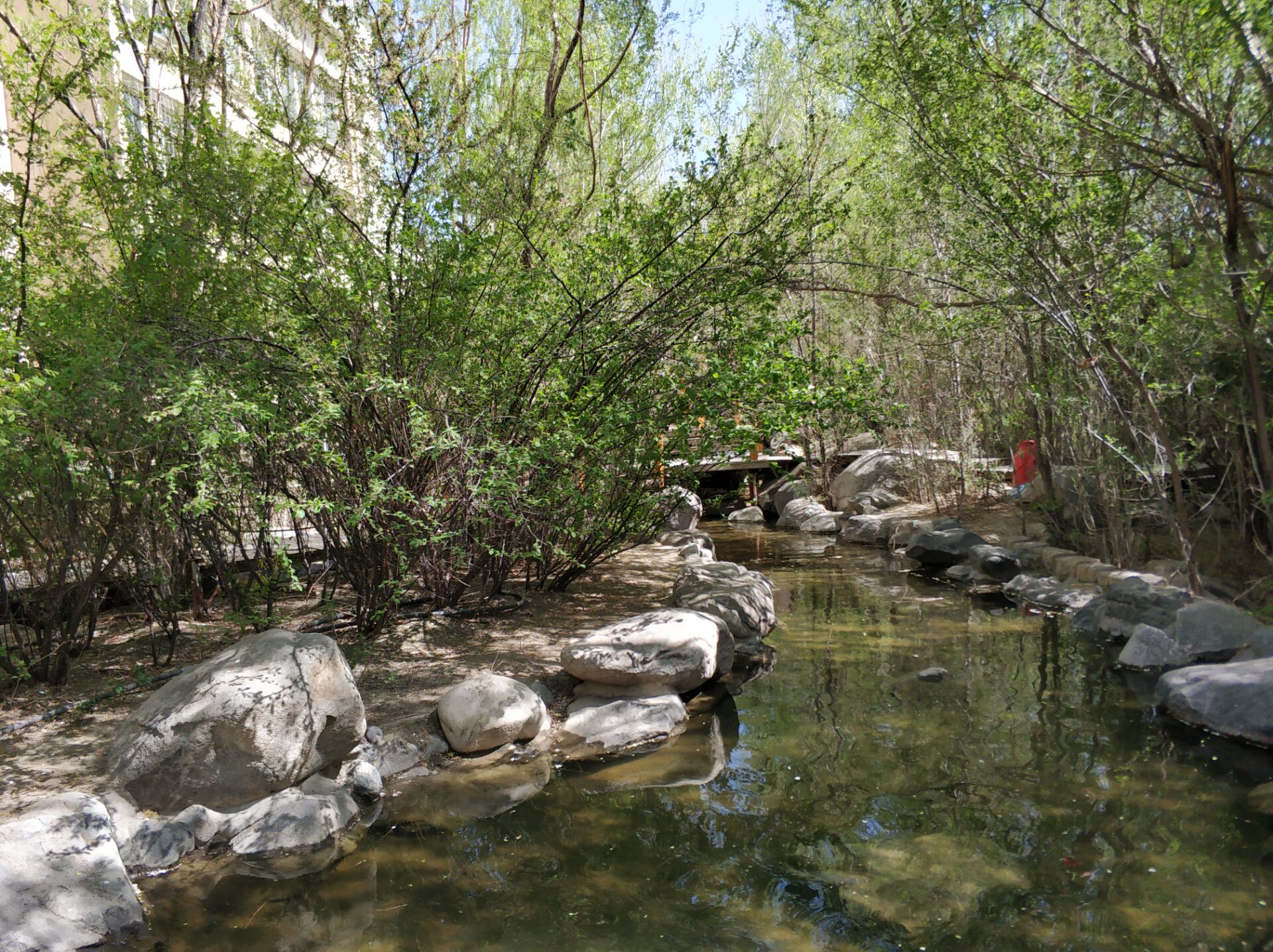 乌鲁木齐居然有这么漂亮的地方,乌鲁木齐周边森林公园在哪里