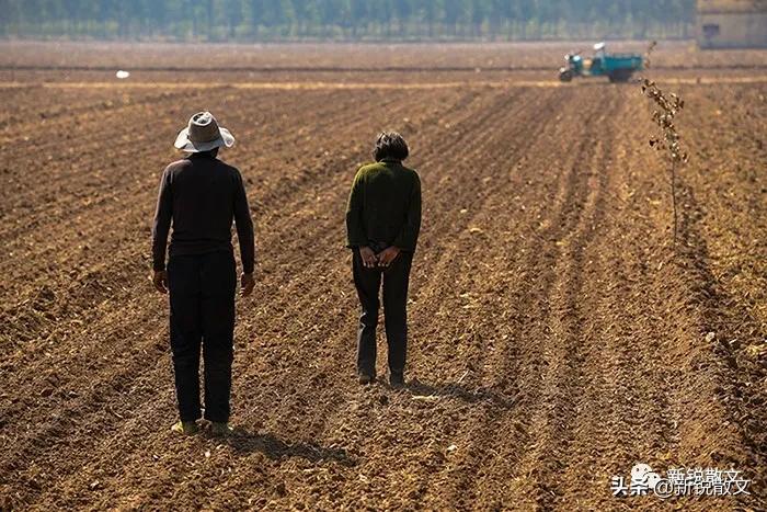 50后回忆生产队,回忆生产队年代