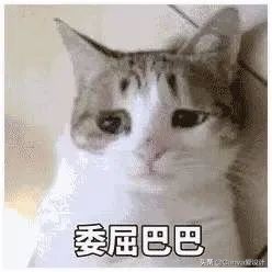 我花了180块，终于搞明白了闲鱼改简历背后的套路