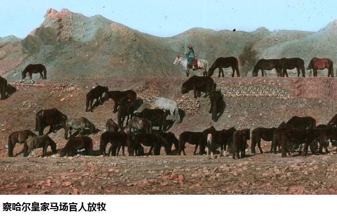 华夏民族为战马奋战千年，察哈尔张家口的马政文化