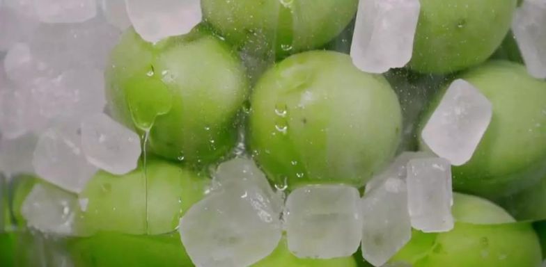 天然去雕饰的《水果传》,给你一场抵挡不住的水果饕餮